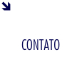 Contato